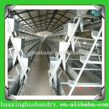 best quality factory price layer chicken cage for sale in philippines